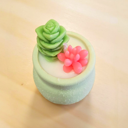 Mini Pot