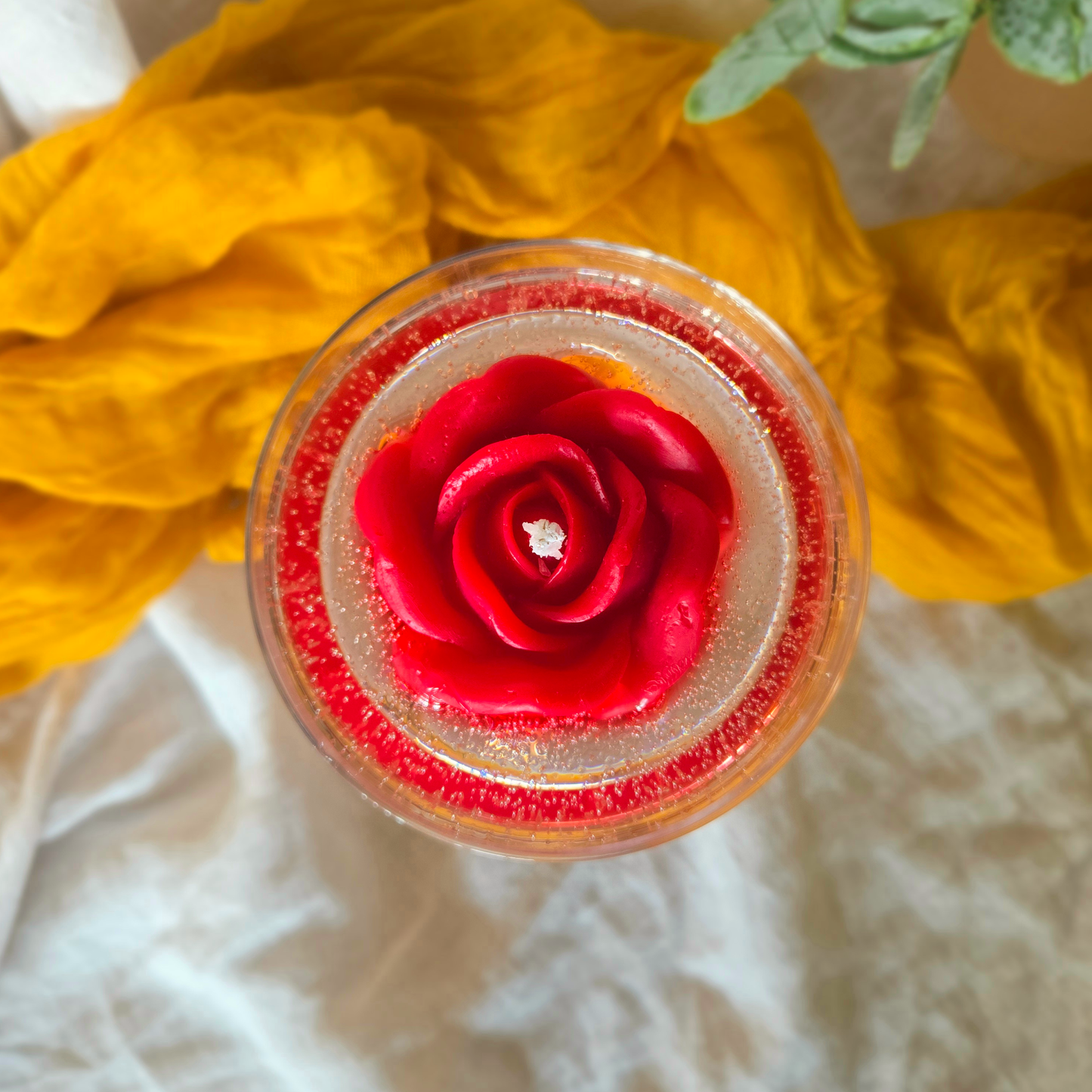 Rose Champagne